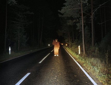 Beer op de weg